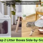 Why keep 2 Litter Boxes Side-by-Side for cat?