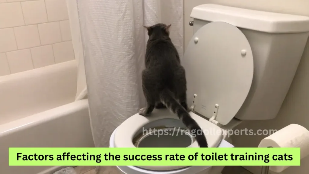 Factors affecting the success rate of toilet training cats